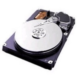 Western Digital Hard Disk 500 GB 